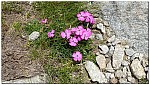 180812-17.jpg 180812-17.jpg