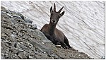 180812-22.jpg 180812-22.jpg
