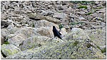 180812-44.jpg 180812-44.jpg