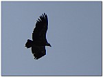 180812-47.jpg 180812-47.jpg