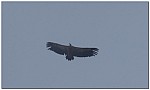 180812-48.jpg 180812-48.jpg