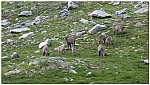 180812-49.jpg 180812-49.jpg