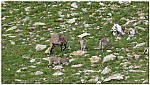 180812-51.jpg 180812-51.jpg