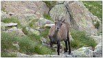 180812-55.jpg 180812-55.jpg