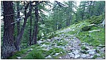 180814-02.jpg 180814-02.jpg