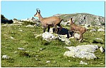 180814-16.jpg 180814-16.jpg