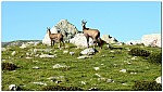 180814-17.jpg 180814-17.jpg