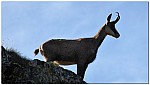 180814-18.jpg 180814-18.jpg
