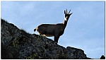 180814-19.jpg 180814-19.jpg
