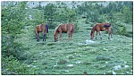 180814-21.jpg 180814-21.jpg