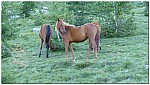 180814-22.jpg 180814-22.jpg