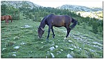 180814-23.jpg 180814-23.jpg