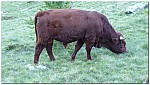 180814-24.jpg 180814-24.jpg