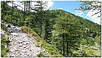 180814-39.jpg 180814-39.jpg