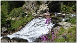 180814-43.jpg 180814-43.jpg