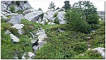 180815-06.jpg 180815-06.jpg