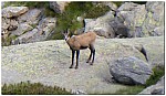 180815-08.jpg 180815-08.jpg