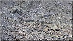 180815-10.jpg 180815-10.jpg