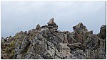 180815-19.jpg 180815-19.jpg