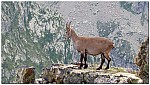 180815-20.jpg 180815-20.jpg