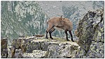 180815-21.jpg 180815-21.jpg