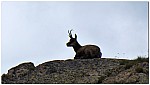 180815-32.jpg 180815-32.jpg