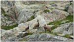 180815-36.jpg 180815-36.jpg
