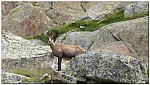 180815-37.jpg 180815-37.jpg