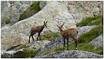 180815-38.jpg 180815-38.jpg