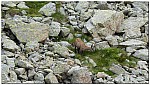 180815-40.jpg 180815-40.jpg