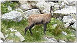 180815-41.jpg 180815-41.jpg