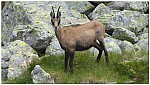 180815-42.jpg 180815-42.jpg
