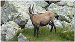 180815-43.jpg 180815-43.jpg