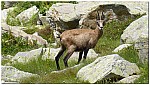 180815-48.jpg 180815-48.jpg