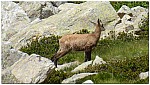 180815-49.jpg 180815-49.jpg