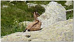 180815-50.jpg 180815-50.jpg