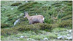 180816-05.jpg 180816-05.jpg