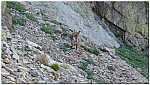 180816-14.jpg 180816-14.jpg
