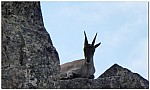 180816-40.jpg 180816-40.jpg