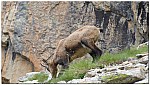 180816-45.jpg 180816-45.jpg
