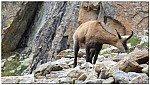 180816-46.jpg 180816-46.jpg