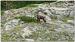 180816-51.jpg 180816-51.jpg