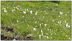 180816-52.jpg 180816-52.jpg