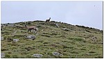180817-01.jpg 180817-01.jpg