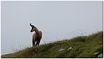 180817-02.jpg 180817-02.jpg