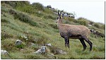 180817-05.jpg 180817-05.jpg