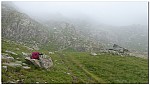 180817-08.jpg 180817-08.jpg