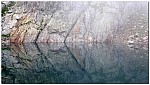 180817-13.jpg 180817-13.jpg