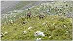 180817-29.jpg 180817-29.jpg
