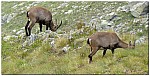 180817-30.jpg 180817-30.jpg